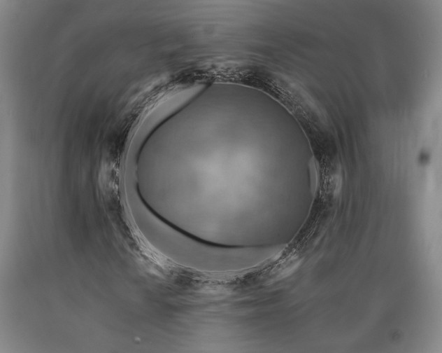 X0000090931010200707301550