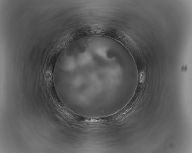 X0000090931011200707301550