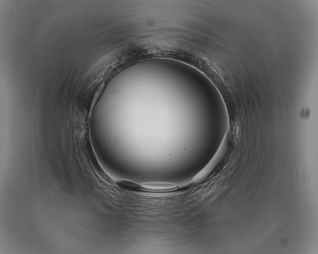 X0000090931012200707301550