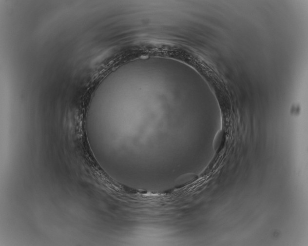 X0000090931013200707301550