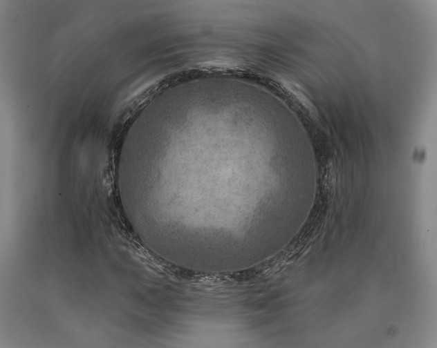 X0000090931015200707301550