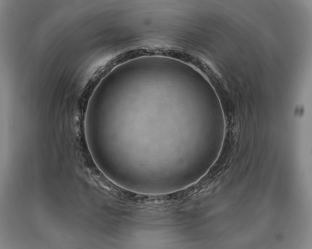 X0000090931016200707301550