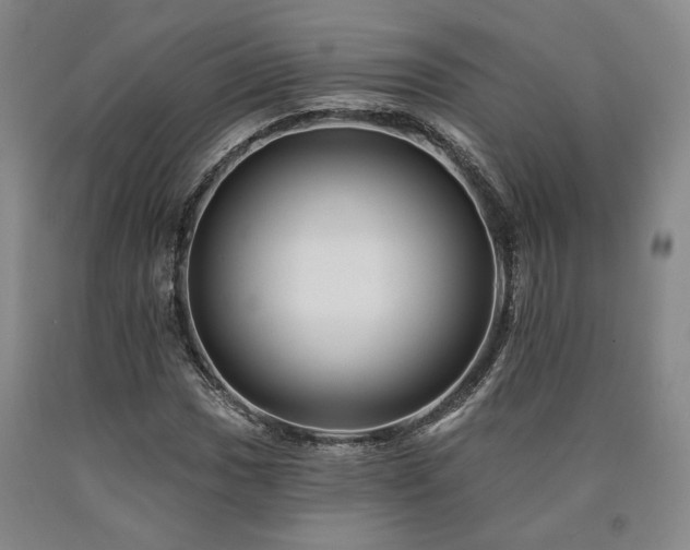 X0000090931017200707301550