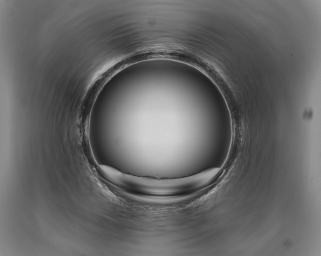 X0000090931018200707301550
