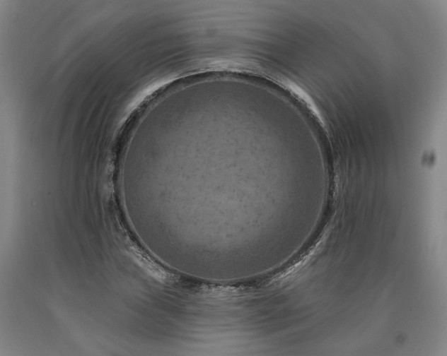 X0000090931019200707301550