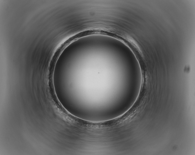 X0000090931020200707301550