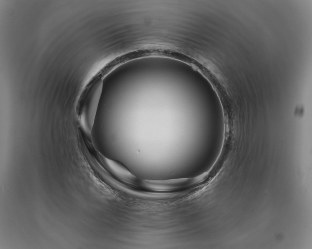X0000090931022200707301550