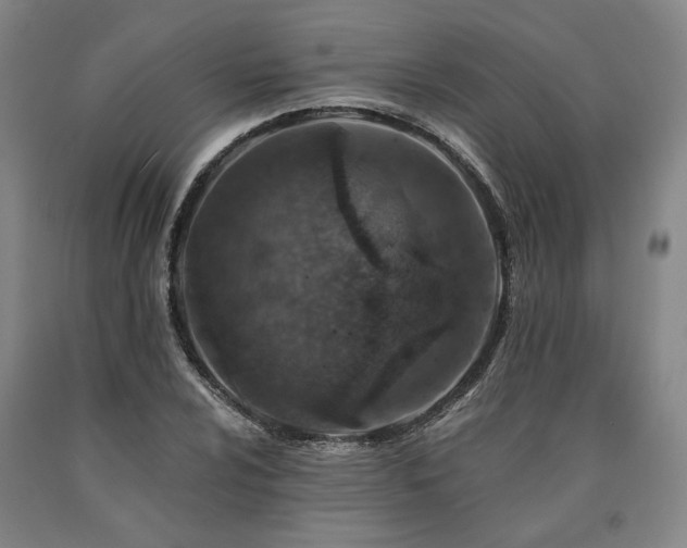 X0000090931024200707301550