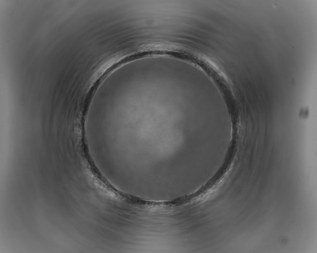 X0000090931025200707301550