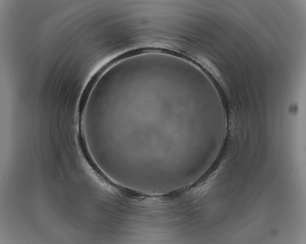 X0000090931028200707301550