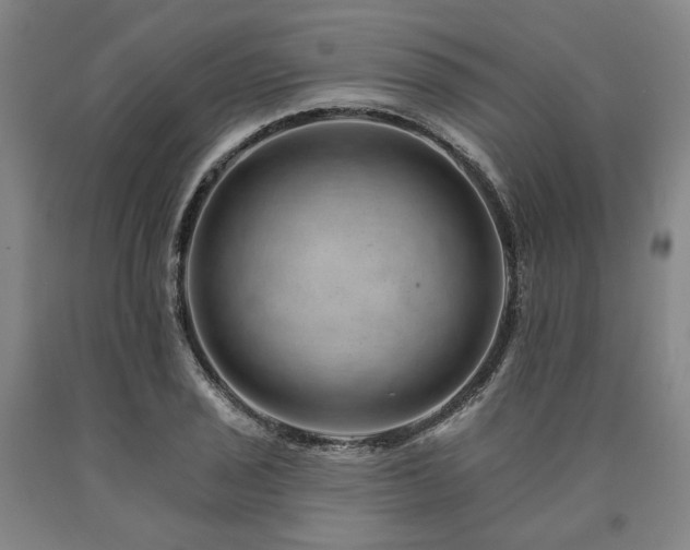 X0000090931029200707301550
