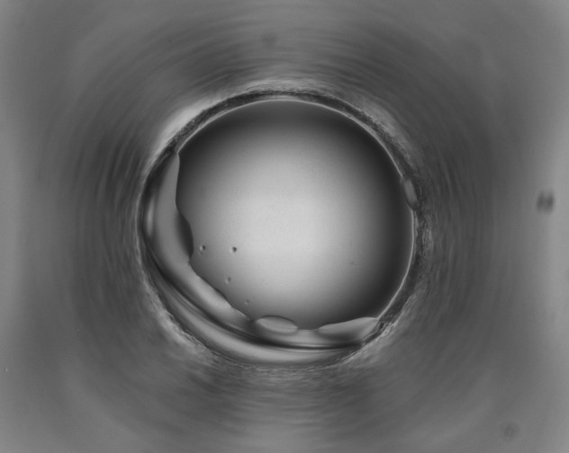 X0000090931030200707301550