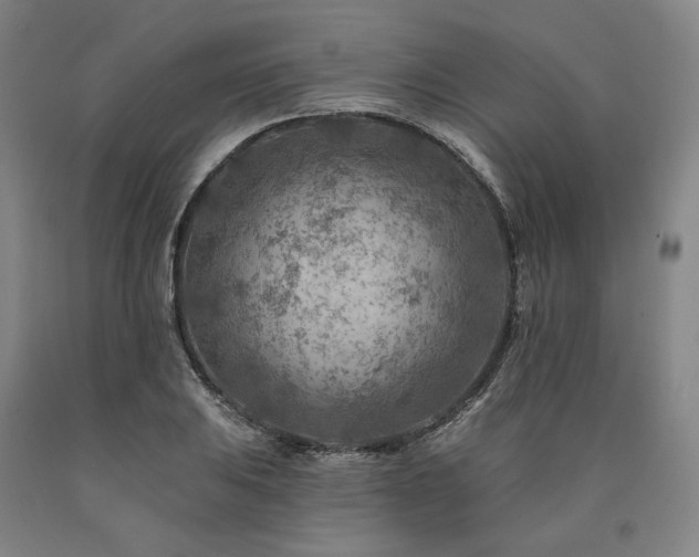 X0000090931031200707301550