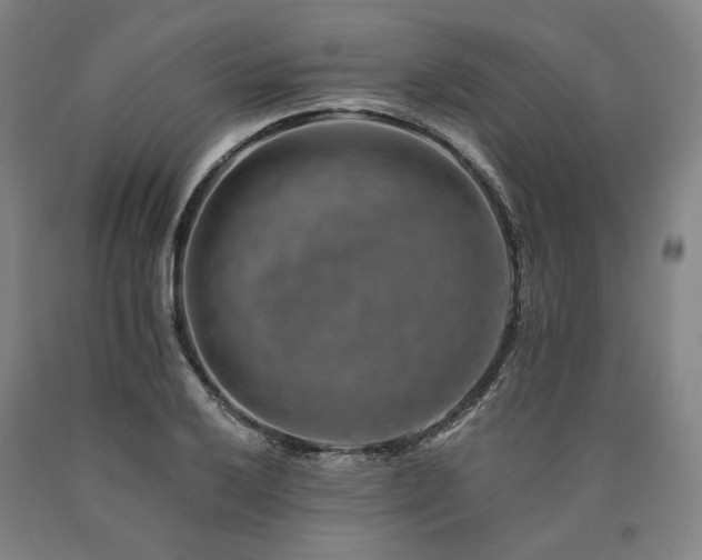 X0000090931032200707301550