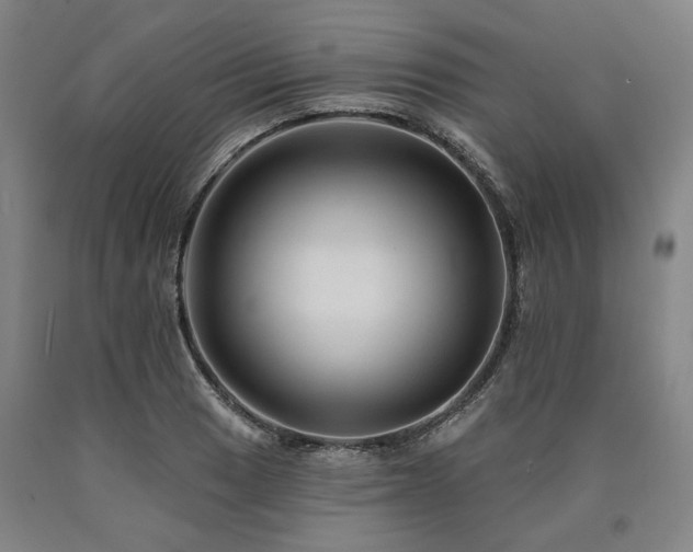 X0000090931033200707301550