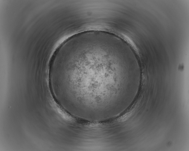 X0000090931035200707301550