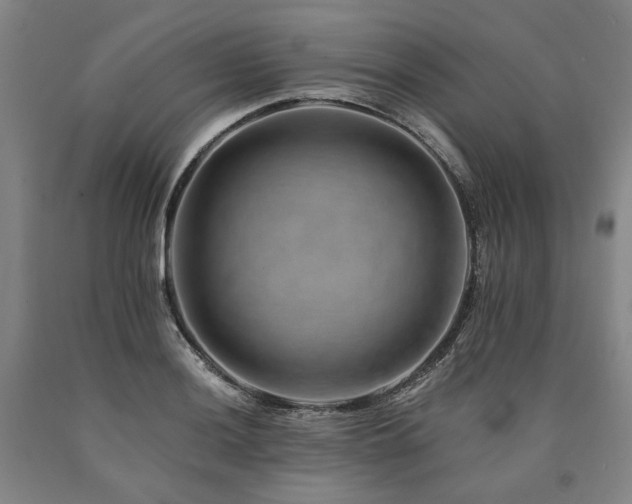 X0000090931036200707301550
