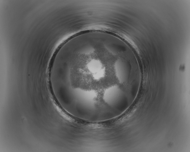X0000090931037200707301550
