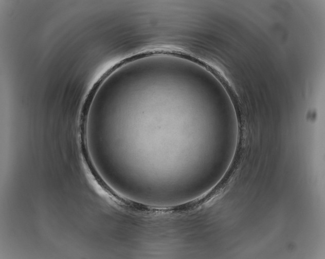X0000090931038200707301550