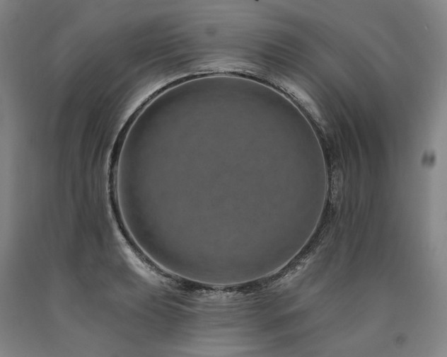 X0000090931039200707301550