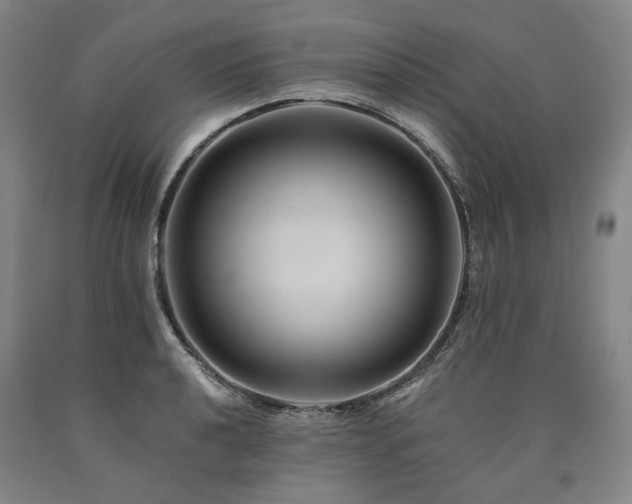 X0000090931040200707301550