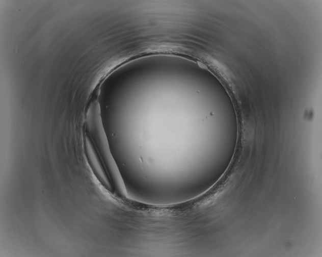 X0000090931041200707301551
