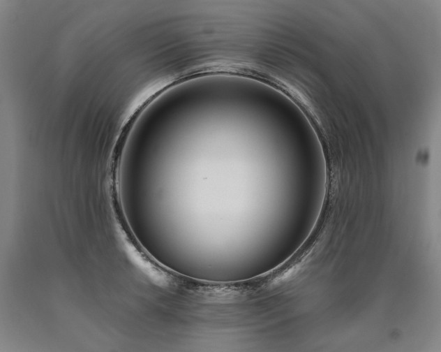 X0000090931042200707301551