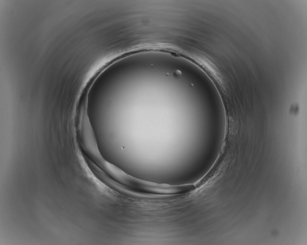 X0000090931046200707301551