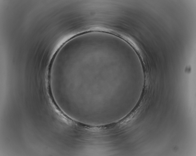 X0000090931048200707301551