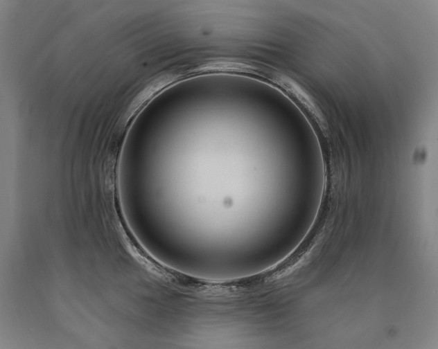 X0000090931049200707301551