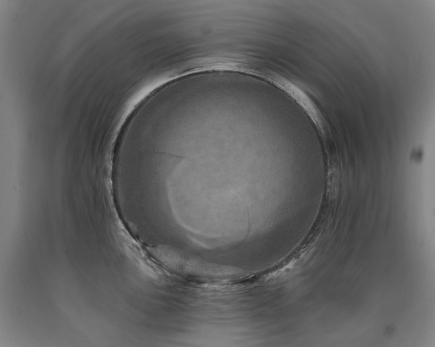 X0000090931051200707301551
