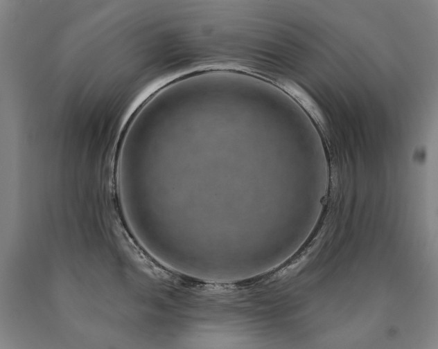 X0000090931052200707301551