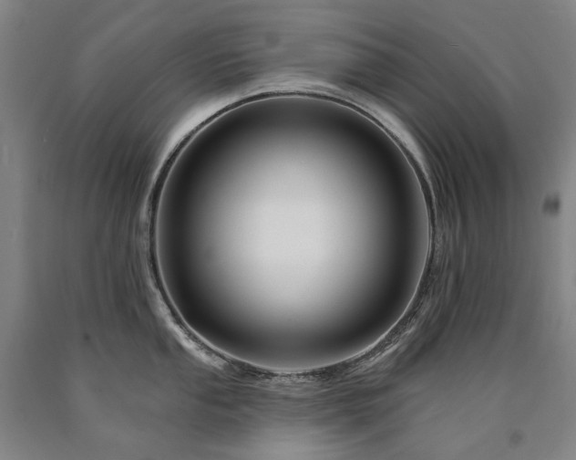 X0000090931053200707301551
