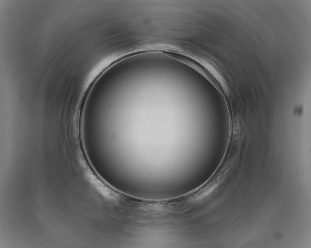 X0000090931054200707301551