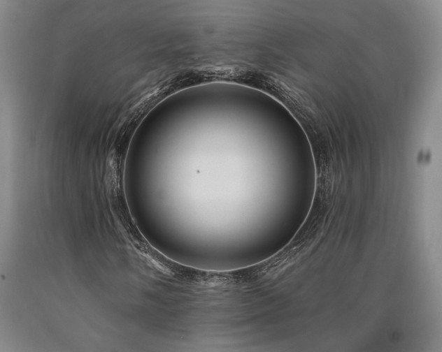 X0000090931058200707301550
