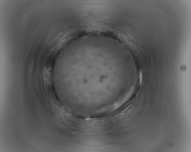 X0000090931059200707301550