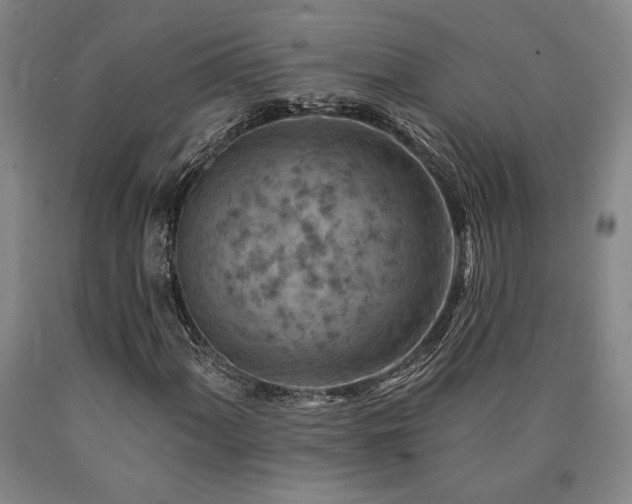 X0000090931060200707301550