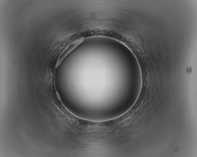 X0000090931061200707301550