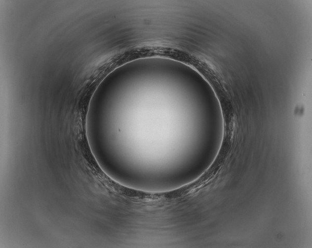 X0000090931062200707301550