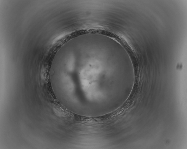 X0000090931063200707301550