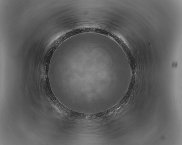 X0000090931064200707301550