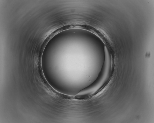 X0000090931065200707301550