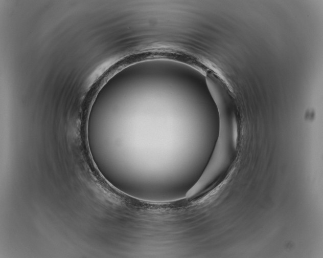 X0000090931066200707301550