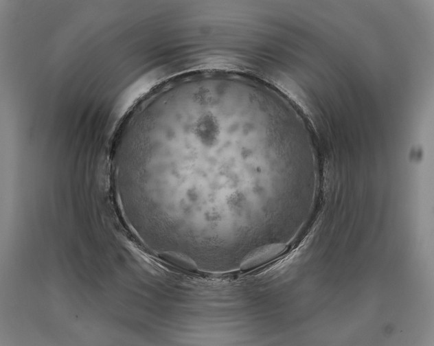 X0000090931067200707301550