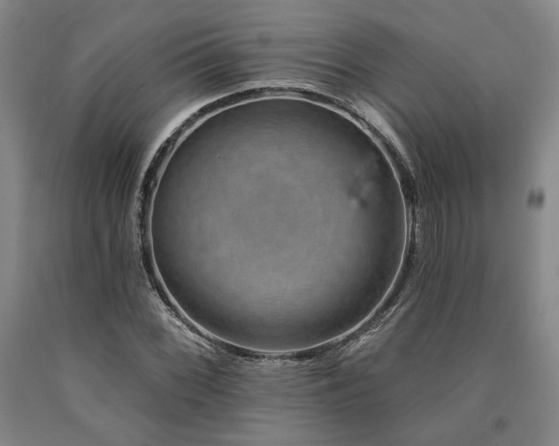 X0000090931068200707301550