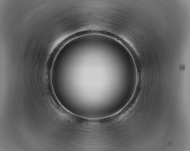 X0000090931070200707301550