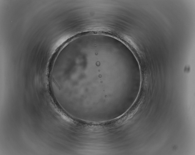 X0000090931071200707301550
