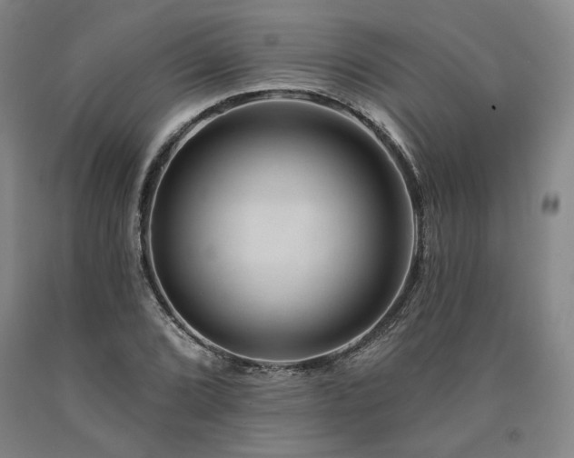 X0000090931072200707301550