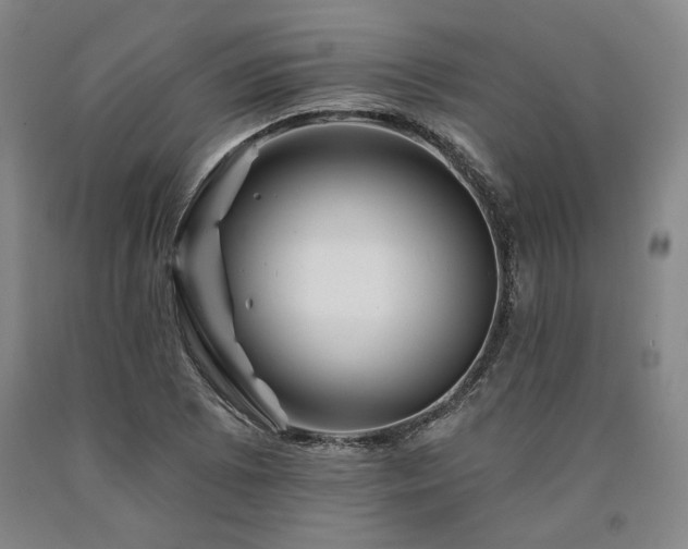 X0000090931073200707301550