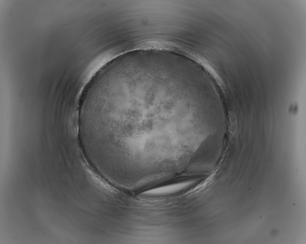 X0000090931075200707301550